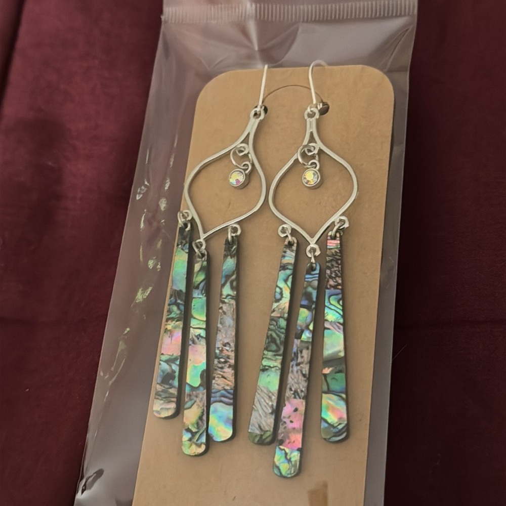 Stainless Steel Dangling Abalone Iridescent Teardrop Earrings
Hand Made